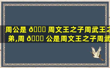 周公是 🐘 周文王之子周武王之弟,周 🍁 公是周文王之子周武王之弟的文言文